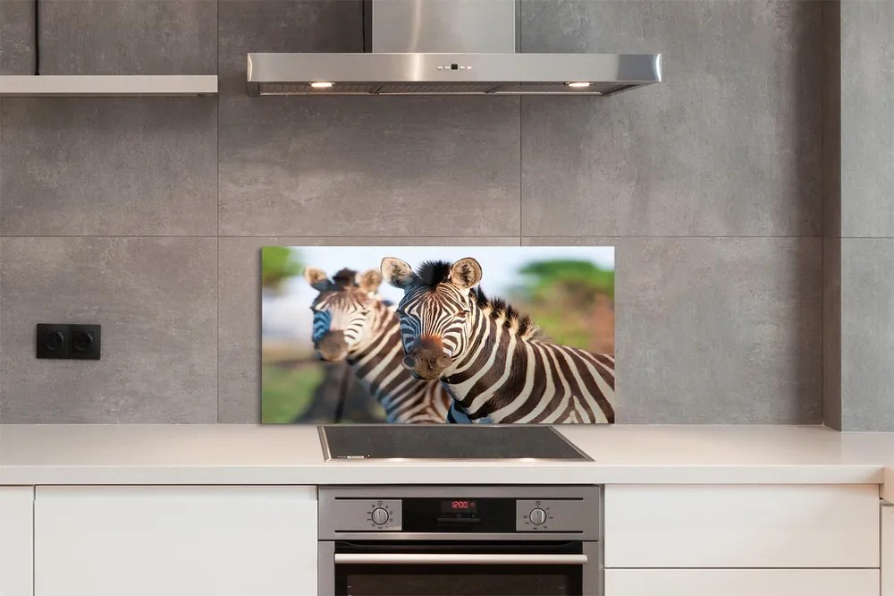 Szklany Panel Rodzina Zebr na Sawannie