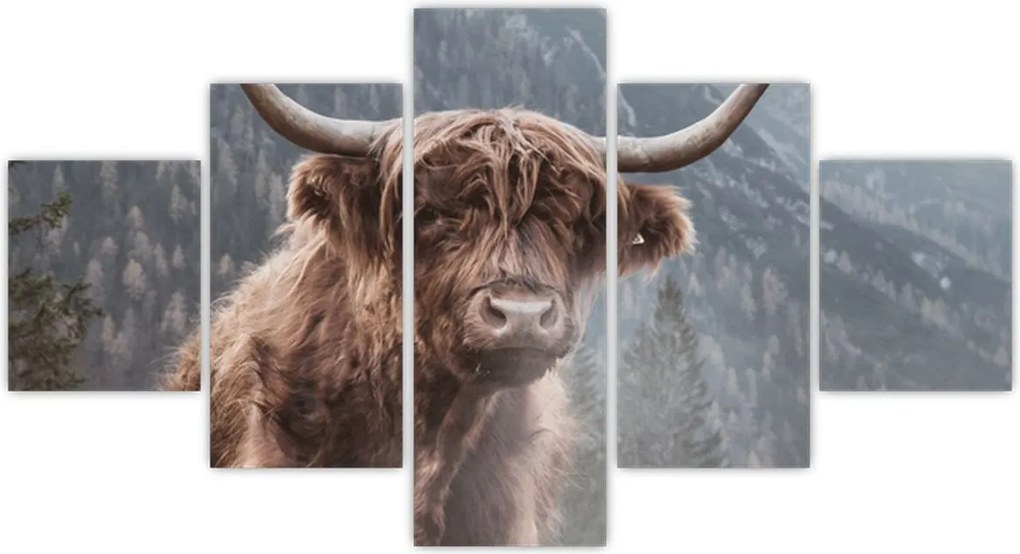 Obraz - Krowa góralska (125x70 cm)