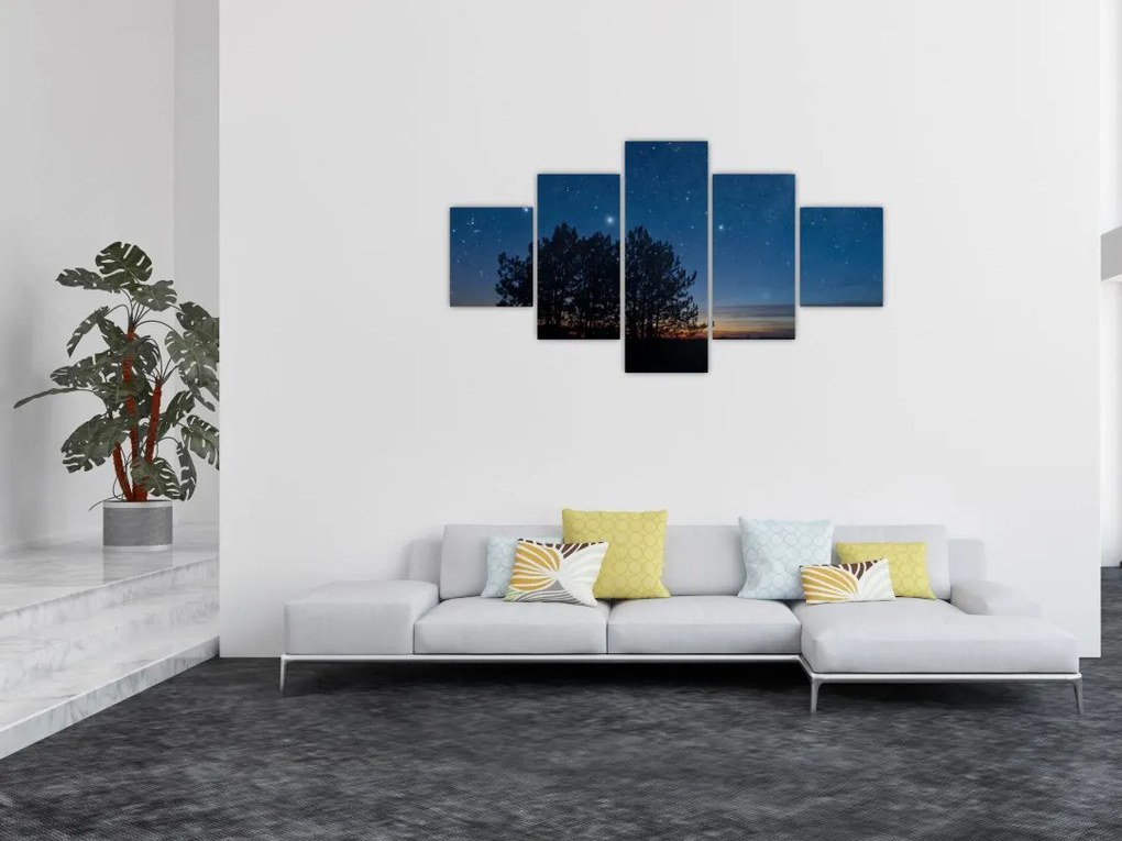 Obraz drzew w nocy (125x70 cm)