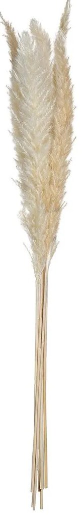 Ozdobne źdźbło z trawy pampasowej, 6 szt., 65 cm