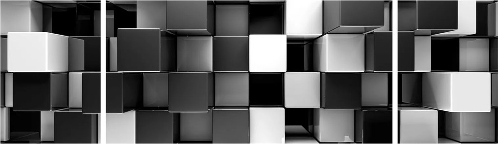 Obraz - Kości (170x50 cm)