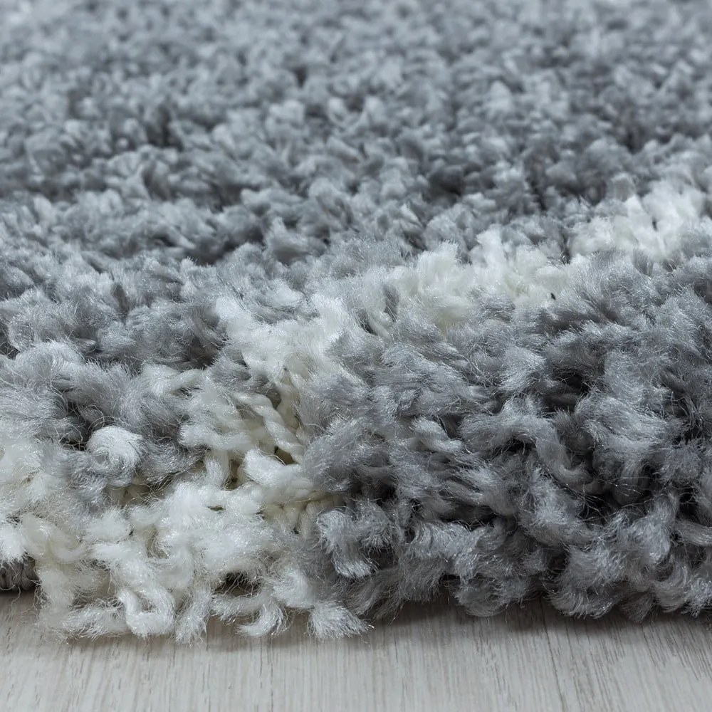 Szary okrągły dywan ø 80 cm Alvor – Ayyildiz Carpets