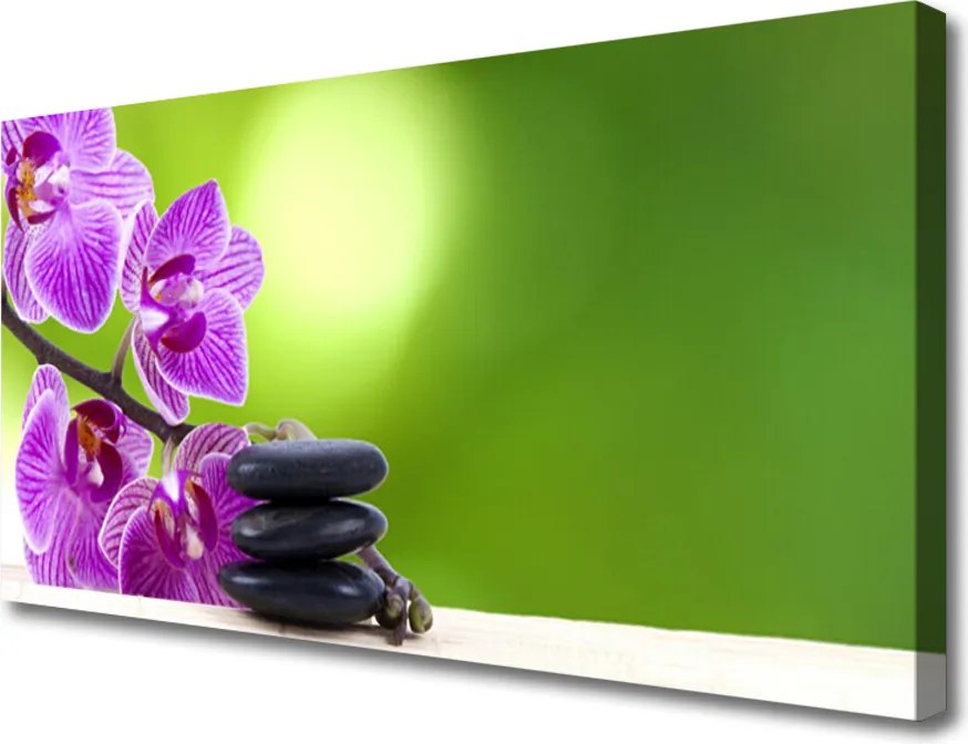 Obraz canvas Zielona Elegancja Storczyka