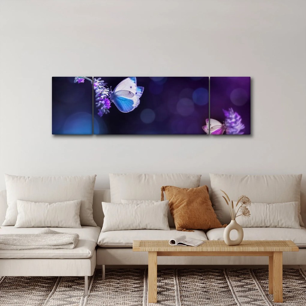 Obraz - Motyle na lawendie (170x50 cm)