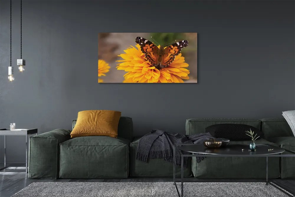 Obraz na płótnie Kolorowy Motyl i Kwiat