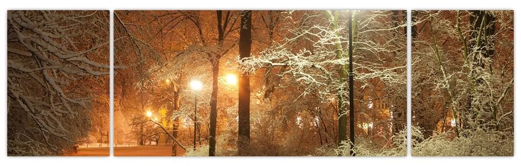 Obraz - Zaśnieżony park (170x50 cm)