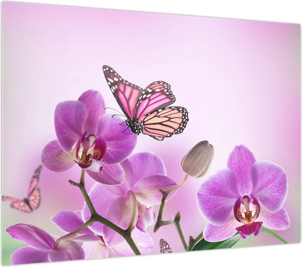 Obraz na szkle - Motyl na kwiatach orchidei, liliowy (70x50 cm)