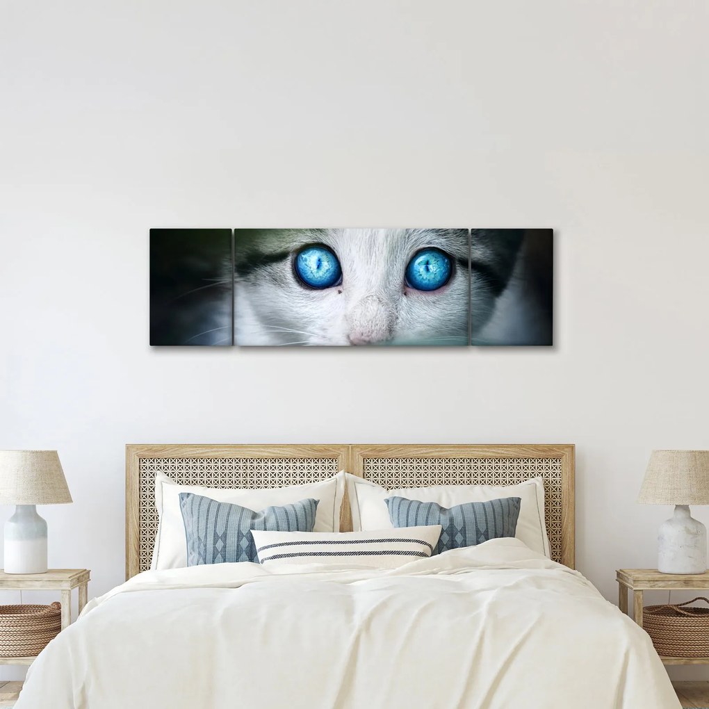 Obraz kota (170x50 cm)