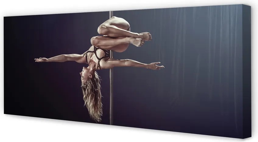 Obraz na płótnie Taniec na Rurze