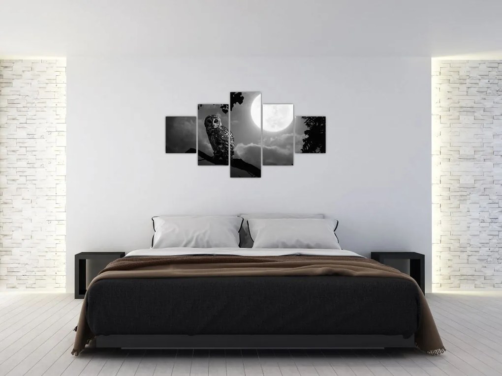 Obraz - Nocna sowa, czarno-biały (125x70 cm)