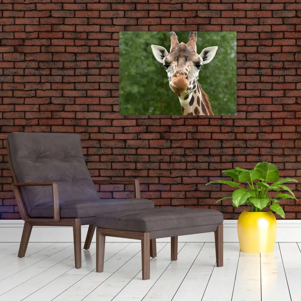 Obraz żyrafy (70x50 cm)