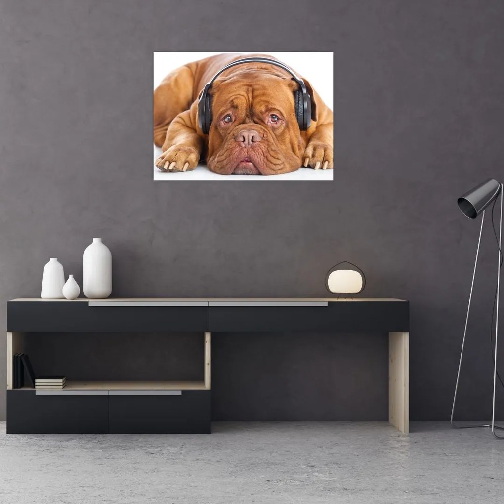 Obraz psa ze słuchawkami (70x50 cm)