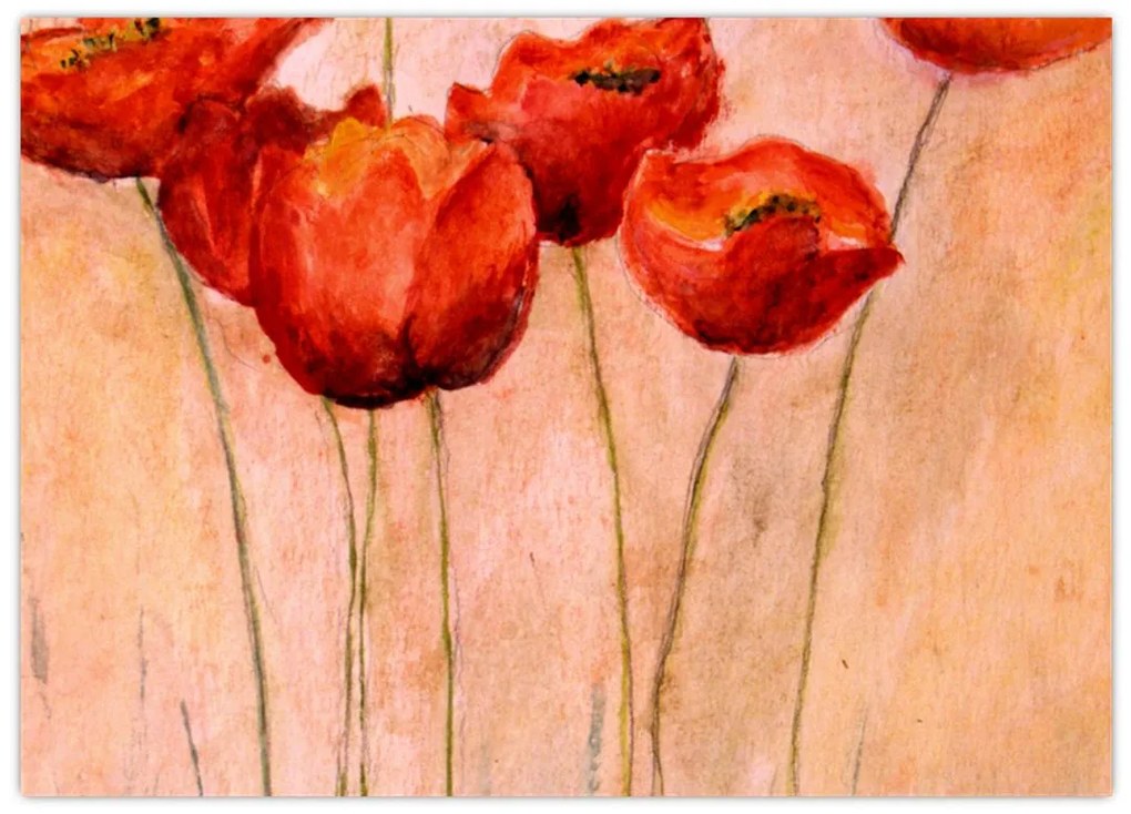 Obraz na szkle - Czerwone tulipany (70x50 cm)