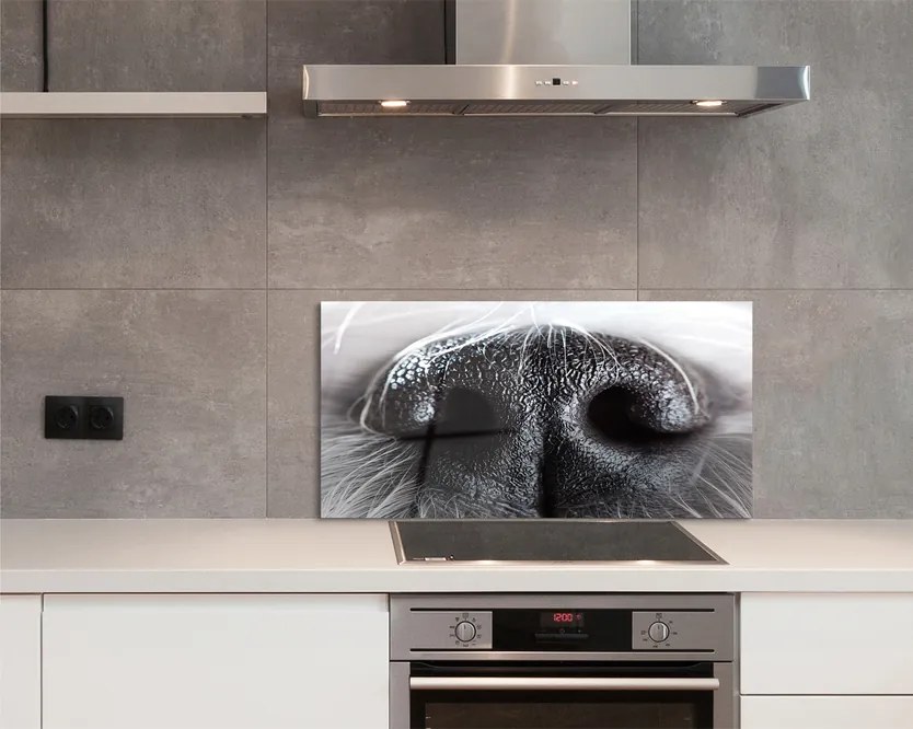 Szkło Ozdobne do Kuchni Zbliżenie na Psi Nos