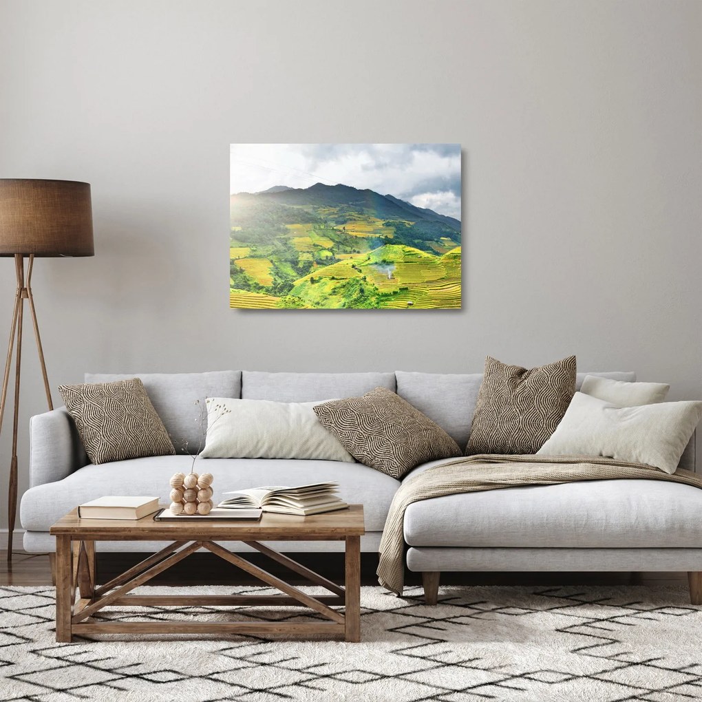 Obraz na szkle - plantacja (70x50 cm)