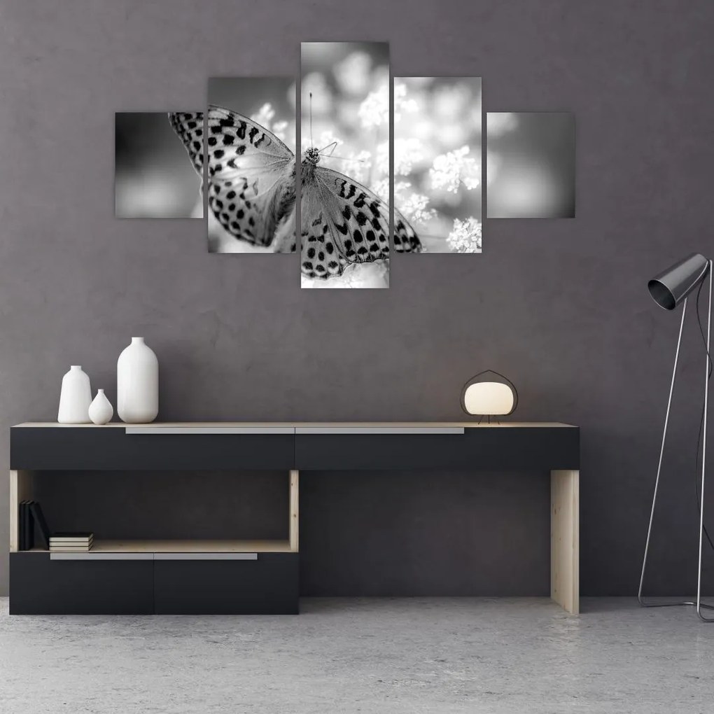 Obraz - Szczegół motyla zapylającego kwiat (125x70 cm)