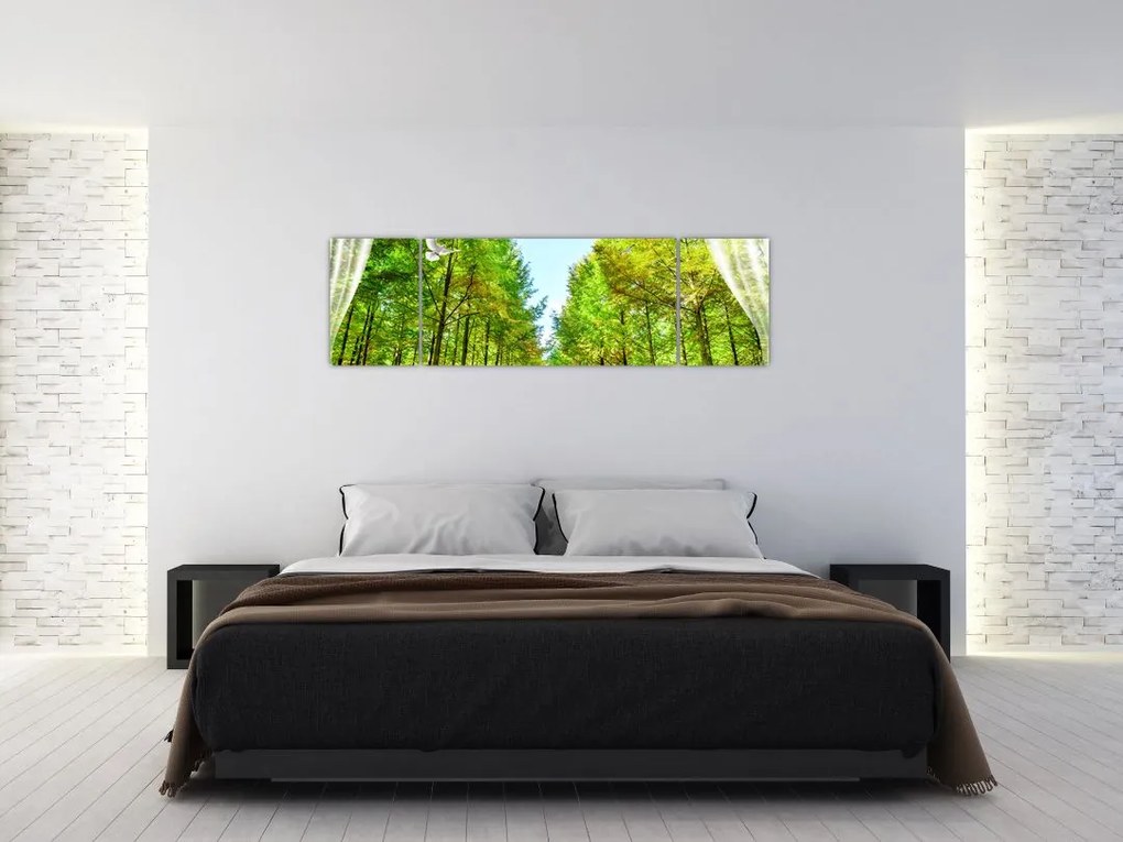 Obraz - Widok na las (170x50 cm)