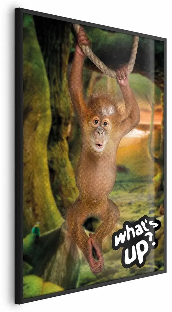 Plakat What's Up 29,7x42 cm z ramą czarną bez marginesu ARTGEIST B