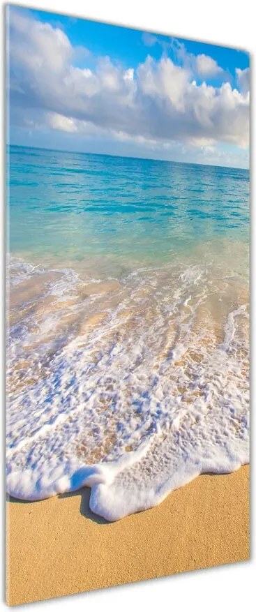 Foto obraz szklany pionowy Tropikalna plaża