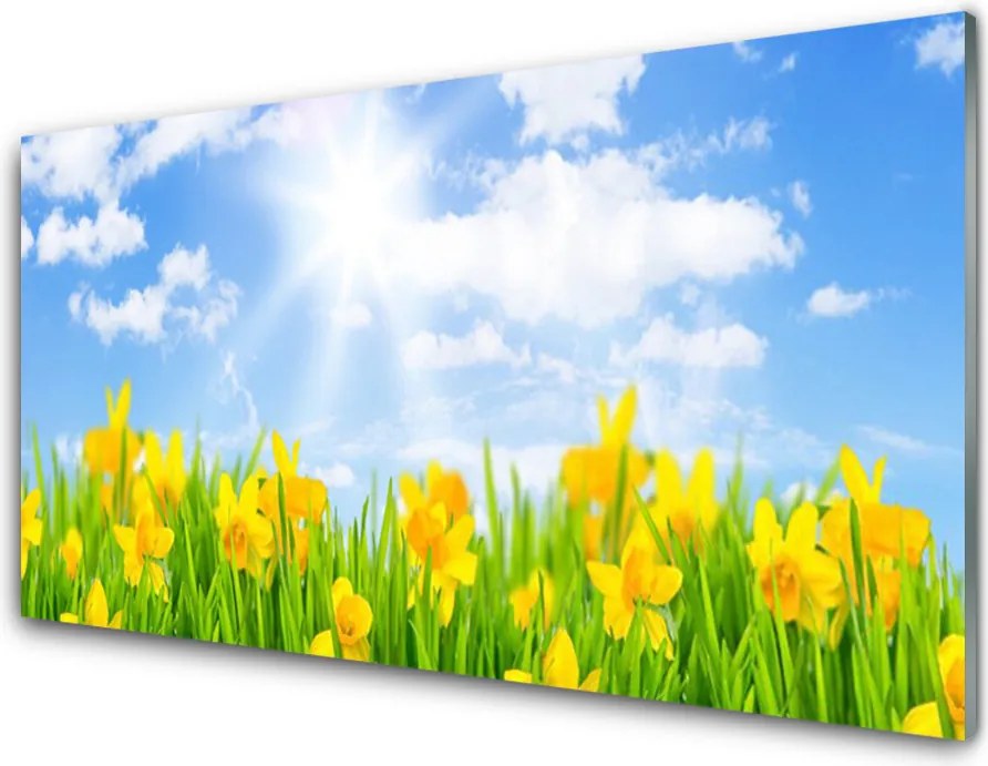 Panel Szklany Wiosenne Żonkile w Trawie