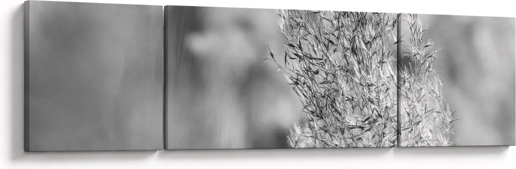 Obraz - Trawa pampasowa Boho (170x50 cm)