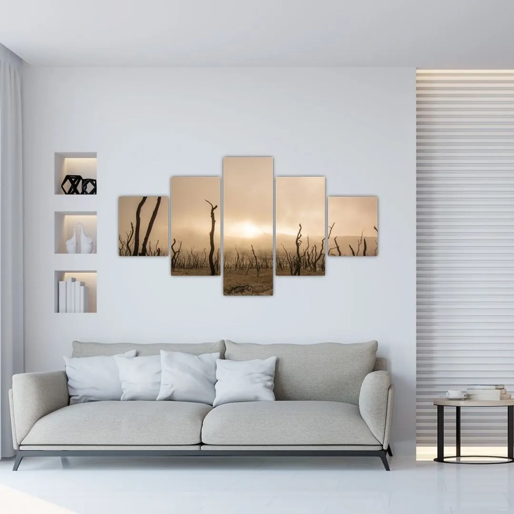 Obraz - Nagie drzewa (125x70 cm)