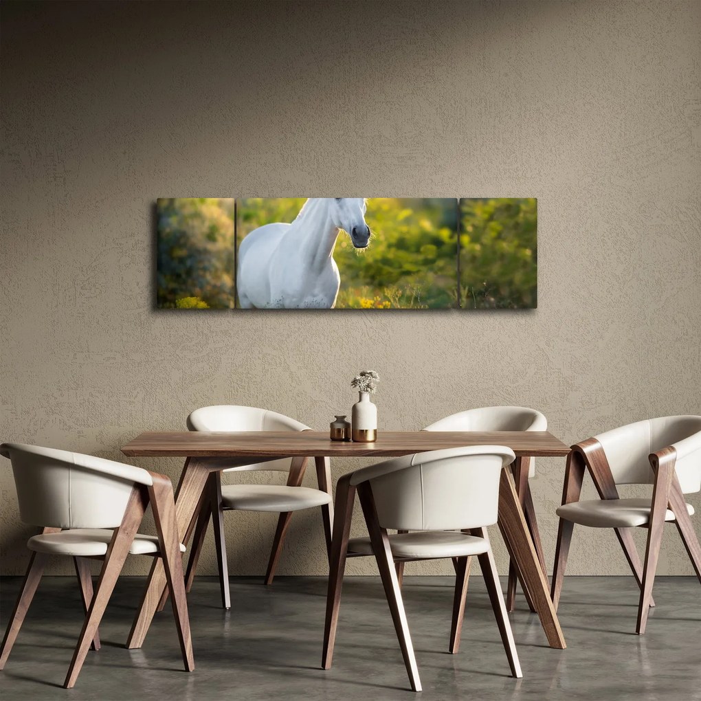 Obraz białego konia na łące (170x50 cm)