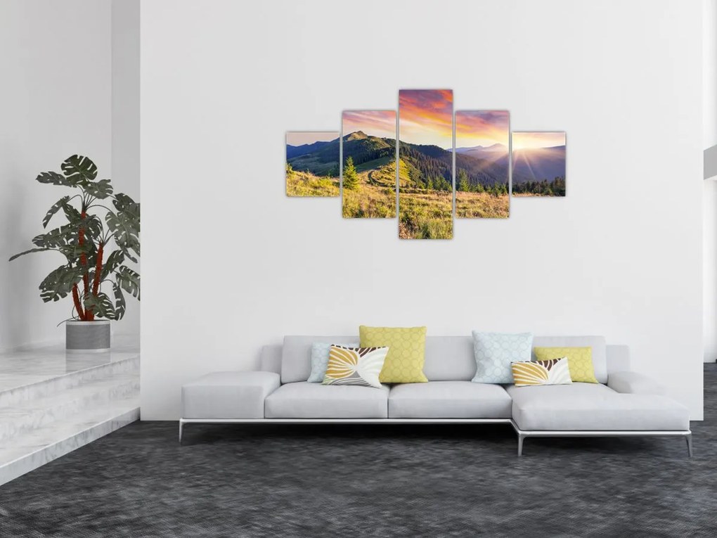 Obraz - Krajobraz leśny (125x70 cm)