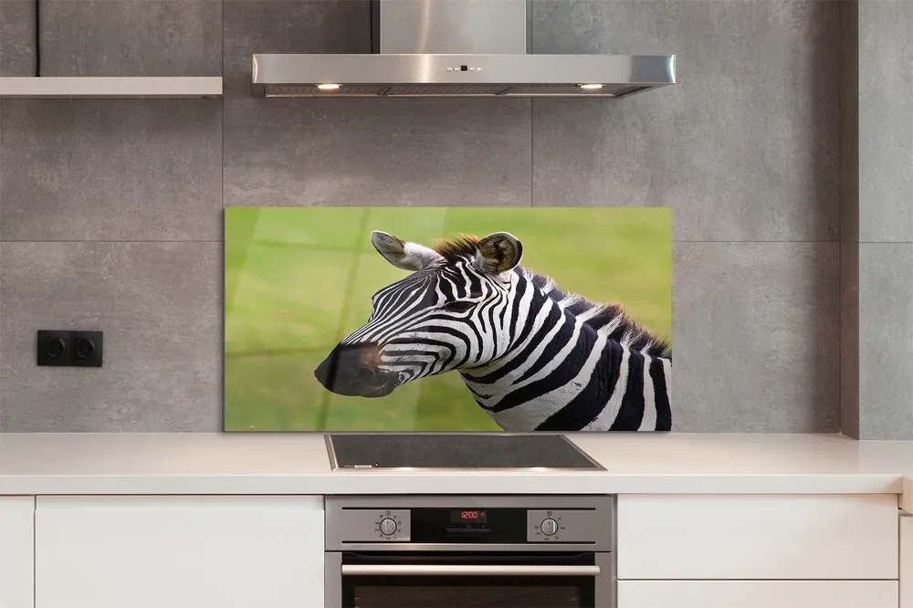 Szklany Panel Zebra w Naturalnym Środowisku