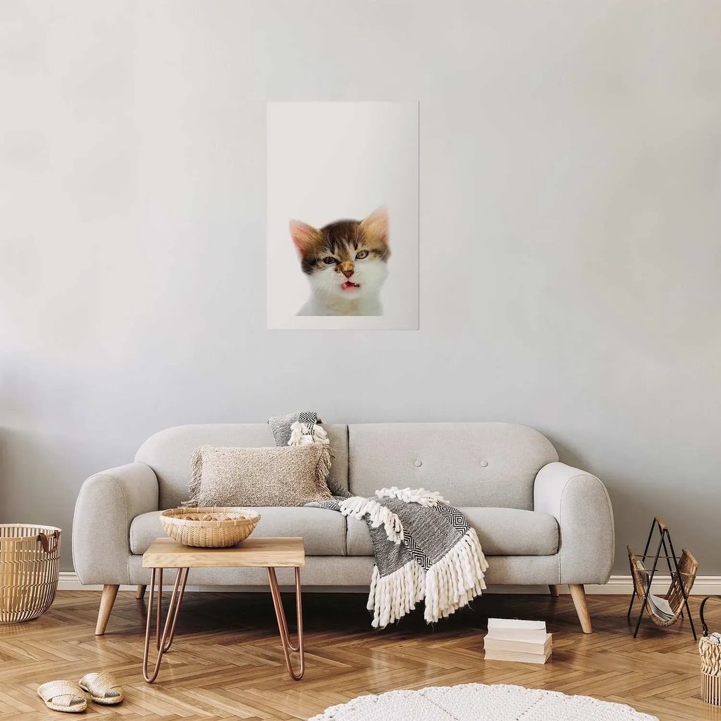 Plakat Zirytowany kot 21x30 cm bez ramy z marginesem ARTGEIST B