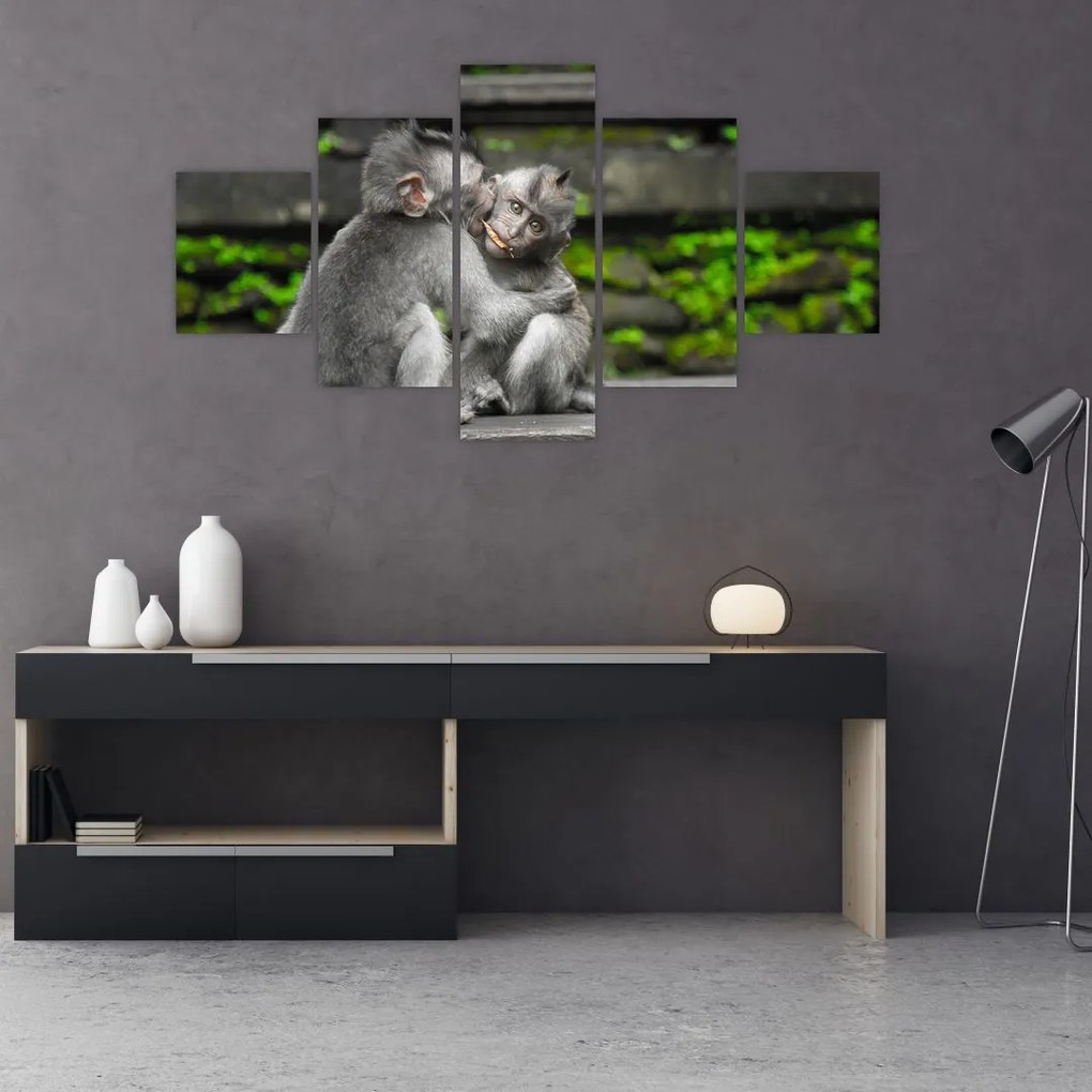 Obraz - małpki (125x70 cm)