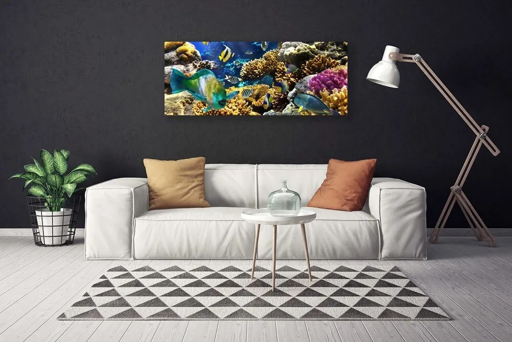 Obraz canvas na ścianę Kolorowe Życie Rafy Koralowej
