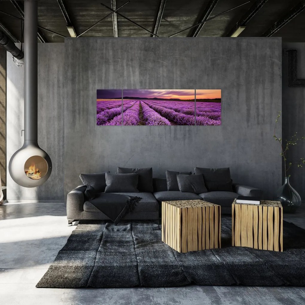 Obraz - Pole lawendy o zachodzie słońca (170x50 cm)