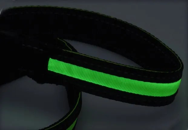 Świecąca smycz dla psa LED, 120 cm