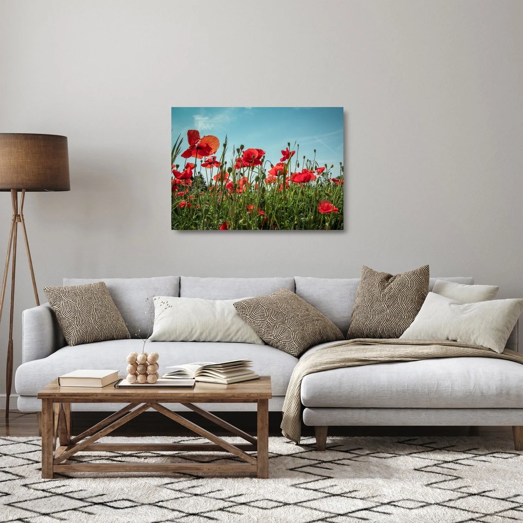 Obraz na szkle - Na polu maków (70x50 cm)
