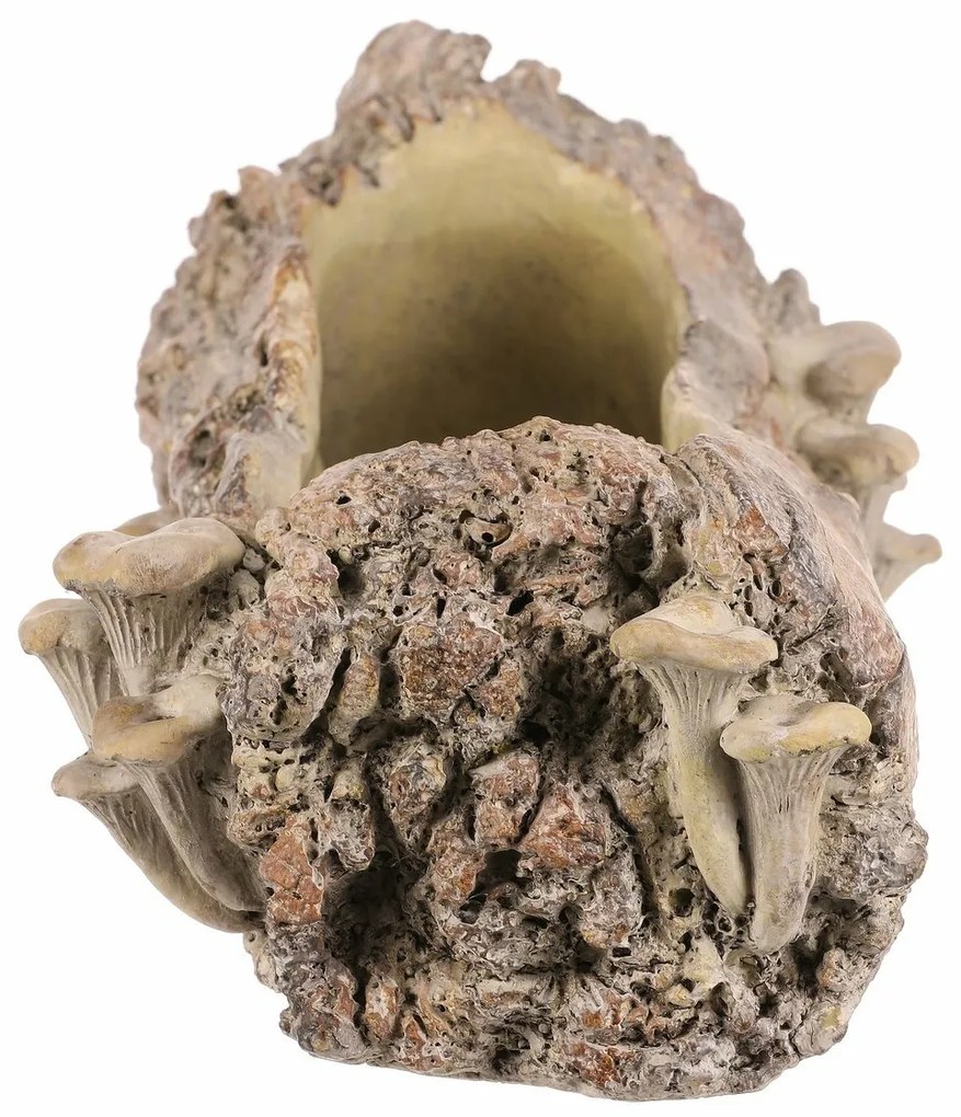 Opakowanie betonowe - skrzynka, drewno z grzybami,49 x 21 x 15 cm