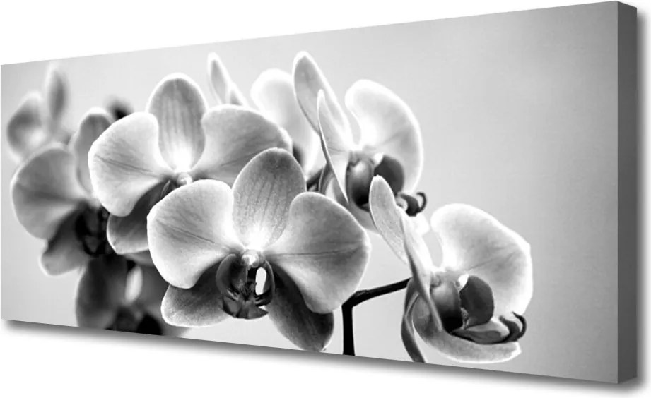 Obraz na płótnie Bukiet Kwiatów w Słońcu