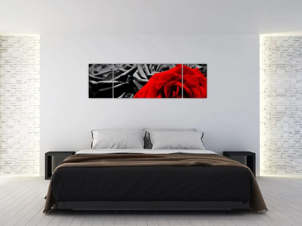 Obraz - Kwiaty róży (170x50 cm)