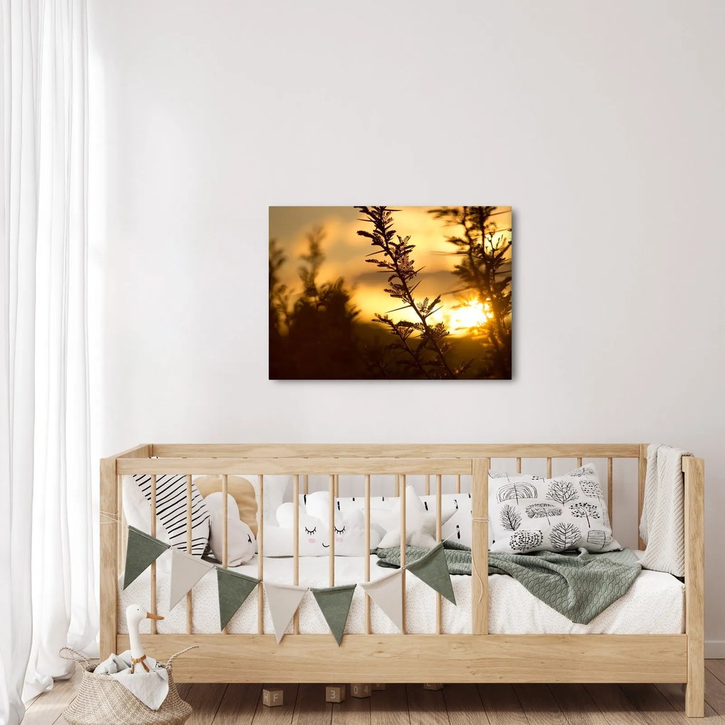 Obraz - słońce zachodzące za drzewami (70x50 cm)