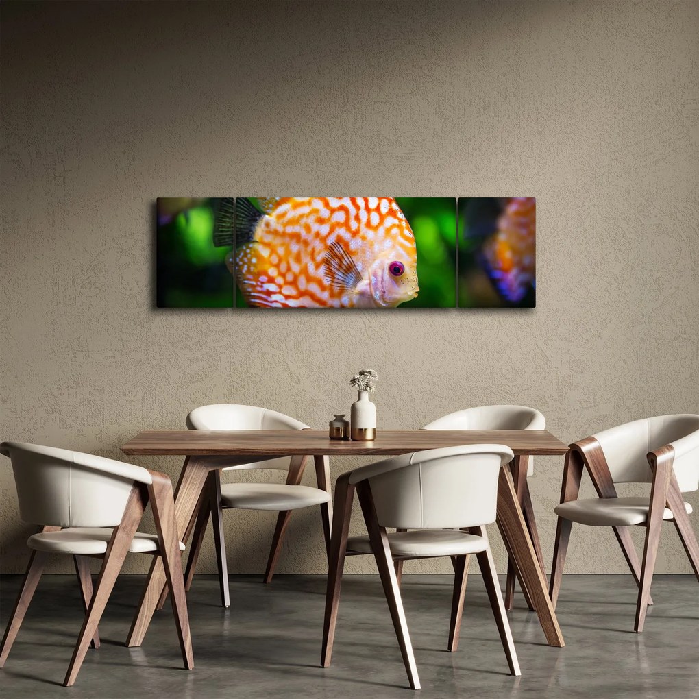 Obraz ryby (170x50 cm)