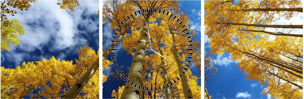 Obraz - Aspen (z zegarem) (90x30 cm)