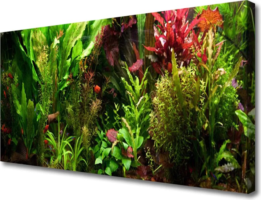 Duży obraz na płótnie Dzika Flora w Kwiatach