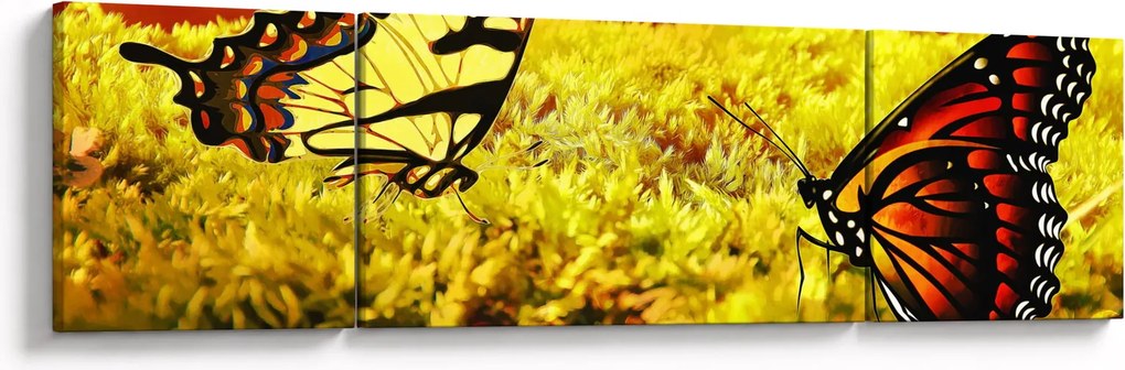 Obraz motyli (170x50 cm)
