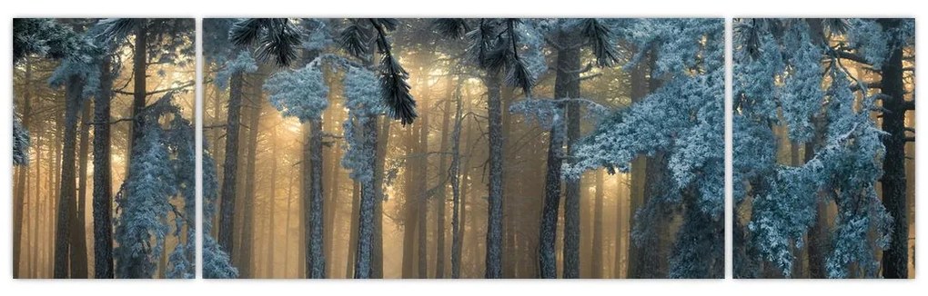 Obraz zaśnieżonego lasu (170x50 cm)