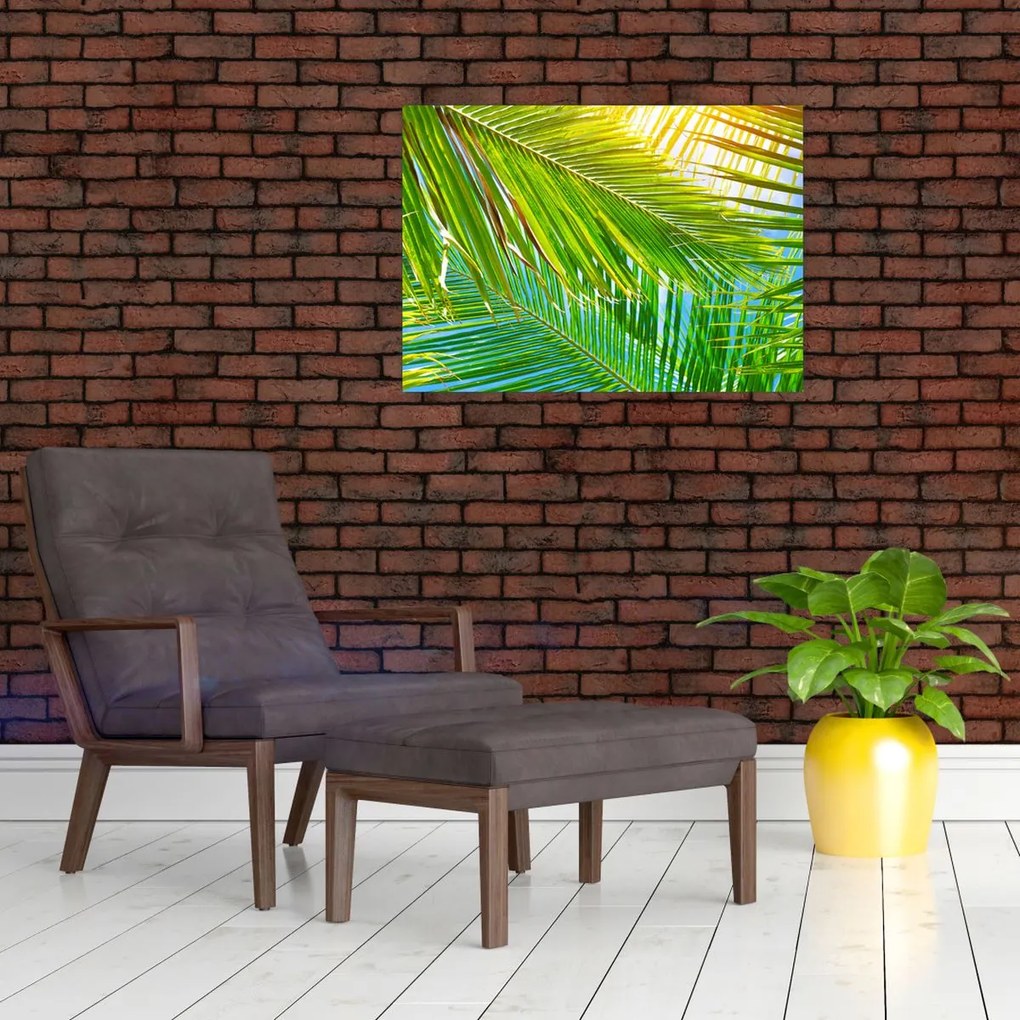 Obraz - Liście palmowe (70x50 cm)