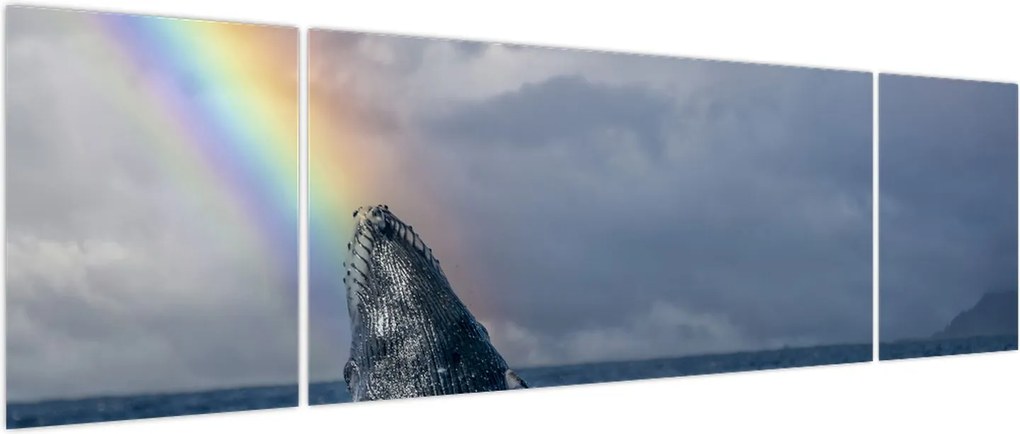 Obraz - Garbus (170x50 cm)