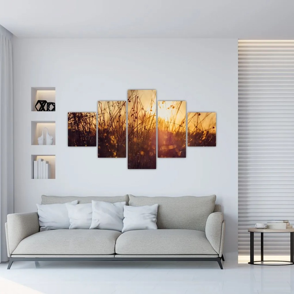 Obraz pola o zachodzie słońca (125x70 cm)