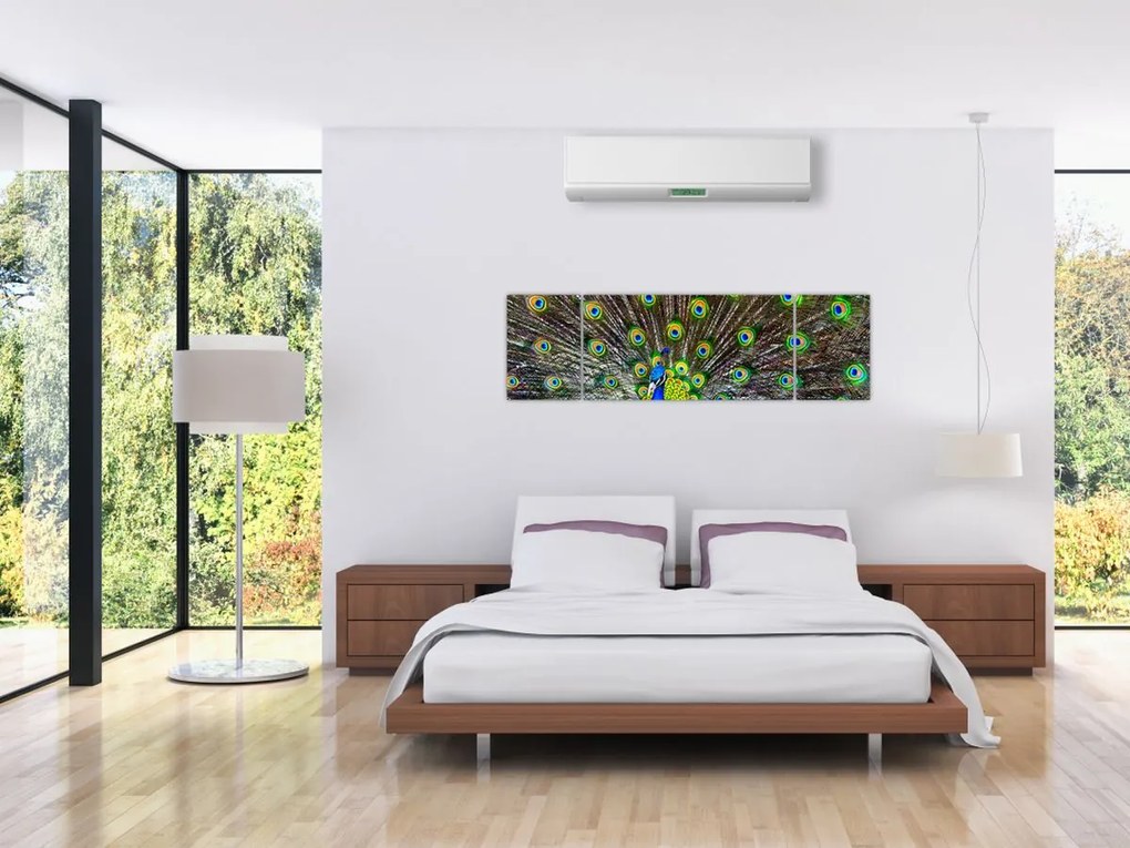 Obraz - Paw (170x50 cm)
