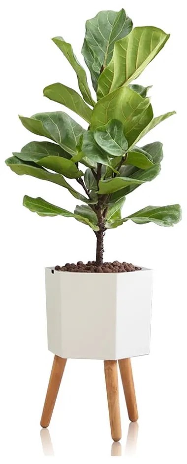 Biała doniczka samonawadniająca Tomasucci Calla, ø 22,8 cm