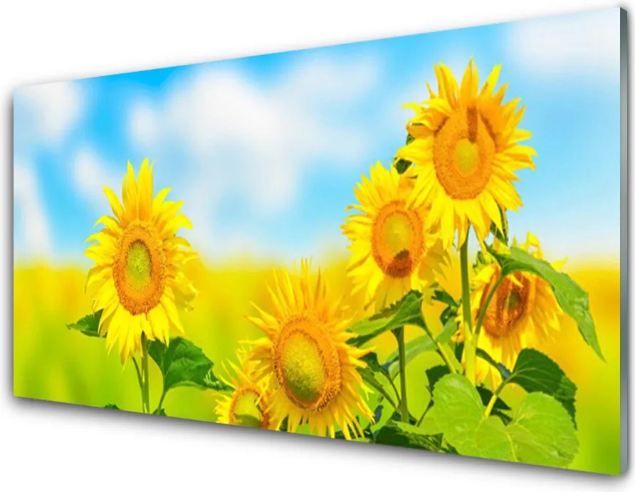 Panel Szklany Złoty Słonecznik w Detalu